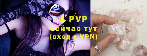 гашик Грязовец