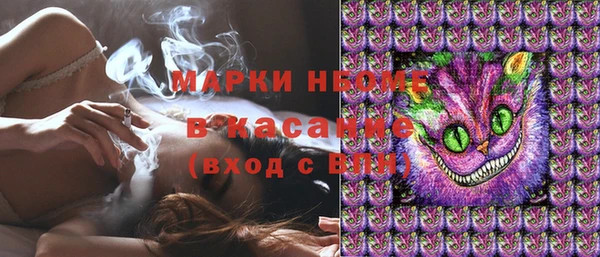 стаф Губаха