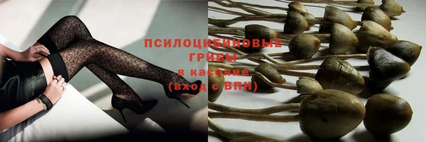 индика Беломорск
