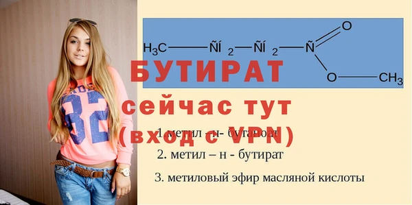 индика Беломорск