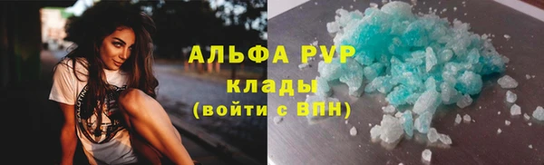 индика Беломорск