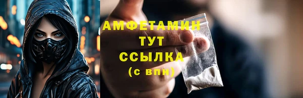 индика Беломорск