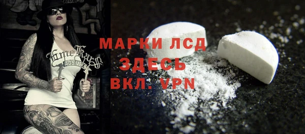 индика Беломорск