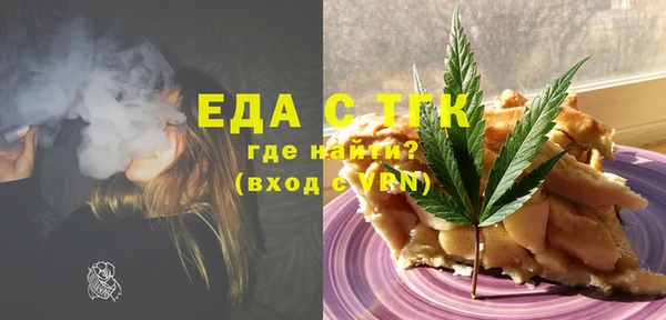 гашик Грязовец