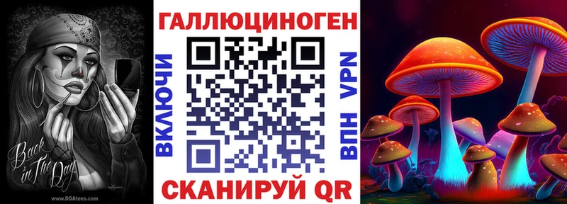 Псилоцибиновые грибы Psilocybine cubensis  Красный Кут 